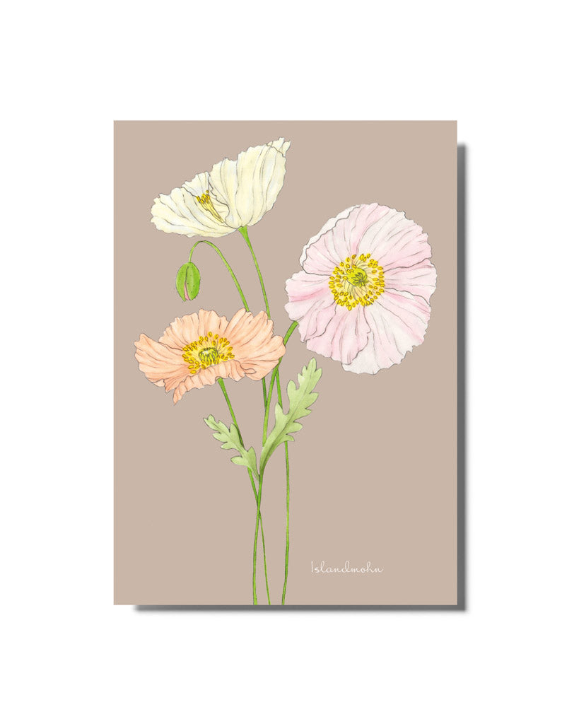 Postkarte mit handgezeichnetem Islandmohn-Motiv aus der Gartenzauber Papeterie – detailverliebt und liebevoll gestaltet.
