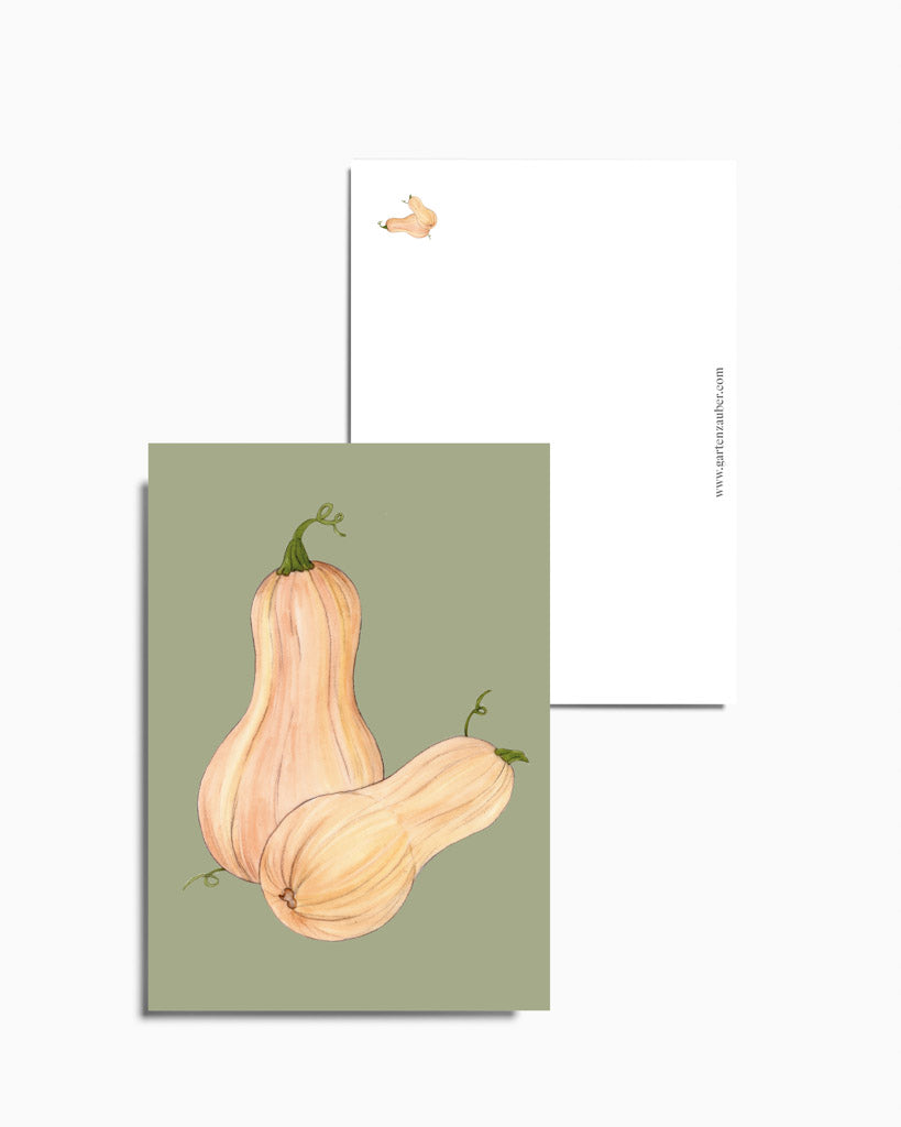 Postkarte mit handgezeichnetem Butternut-Kürbis aus der Gartenzauber Papeterie – detailreiche Gemüseillustration in warmen Naturtönen.