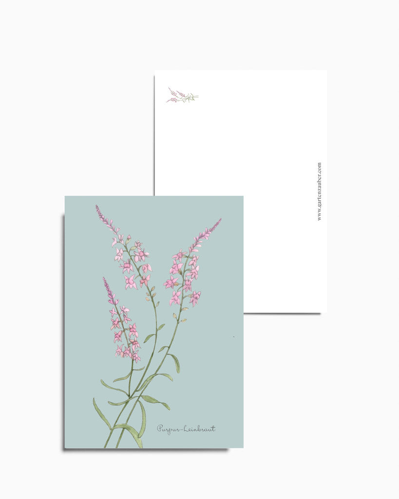 Postkarte mit handgezeichnetem Purpur-Leinkraut aus der Gartenzauber Papeterie – feine Illustration in zarten Rosatönen.