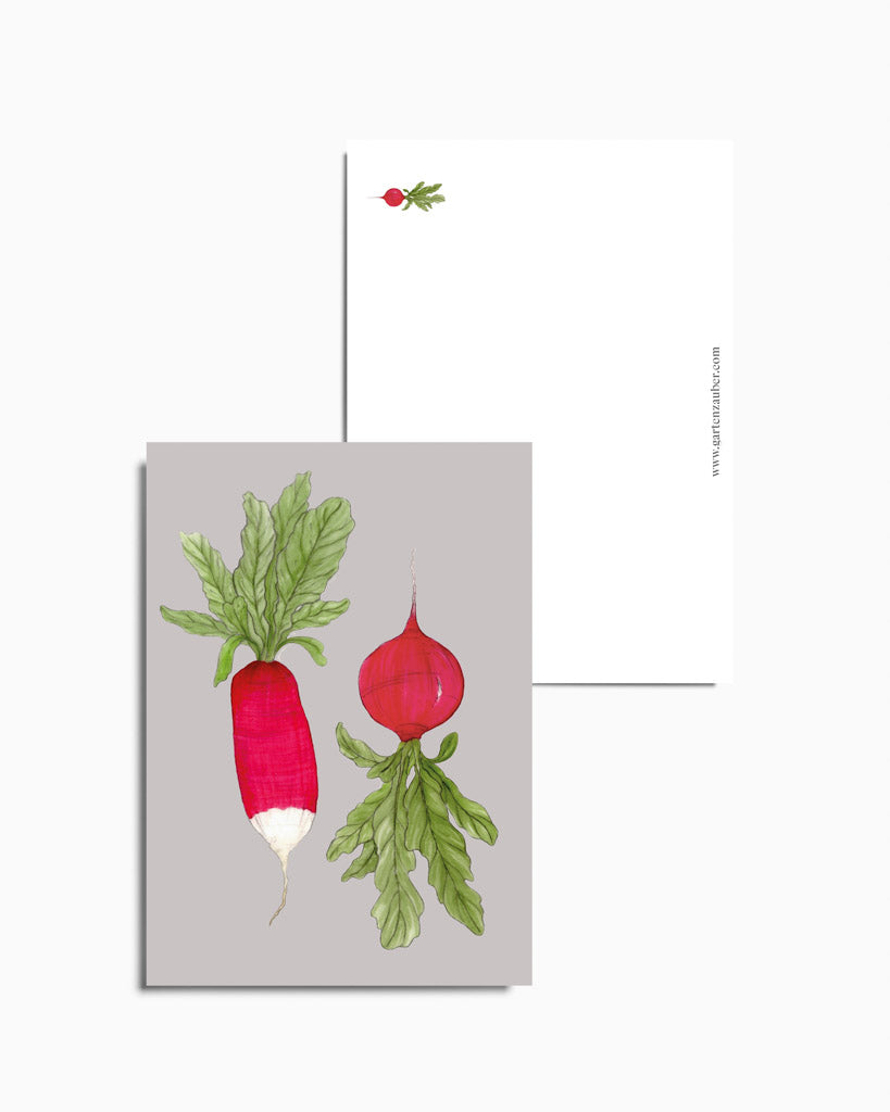 Postkarte mit handgezeichneten Radieschen aus der Gartenzauber Papeterie – detailreich illustriert mit Blattgrün auf hellem Hintergrund.