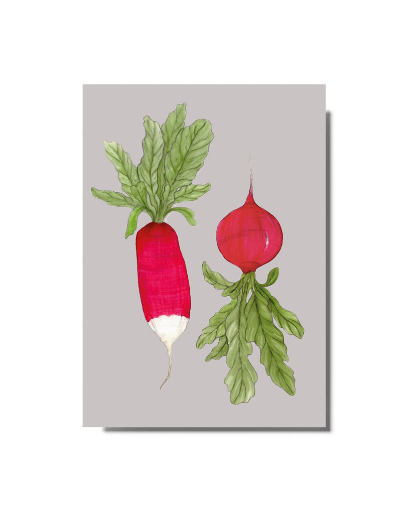 Postkarte mit handgezeichneten Radieschen aus der Gartenzauber Papeterie – detailreich illustriert mit Blattgrün auf hellem Hintergrund.