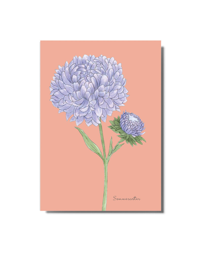 Postkarte mit handgezeichnetem Sommerastern-Motiv aus der Gartenzauber Papeterie – detailverliebt und liebevoll gestaltet.