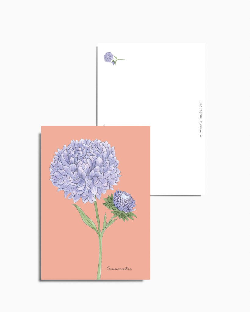 Postkarte mit handgezeichnetem Sommerastern-Motiv aus der Gartenzauber Papeterie – detailverliebt und liebevoll gestaltet.