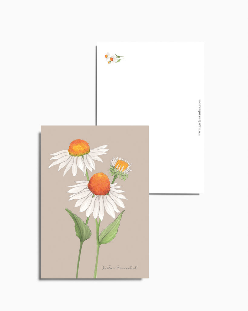 Handgezeichnete Postkarte Weißer Sonnenhut aus der Gartenzauber Papeterie – filigrane Blütenillustration