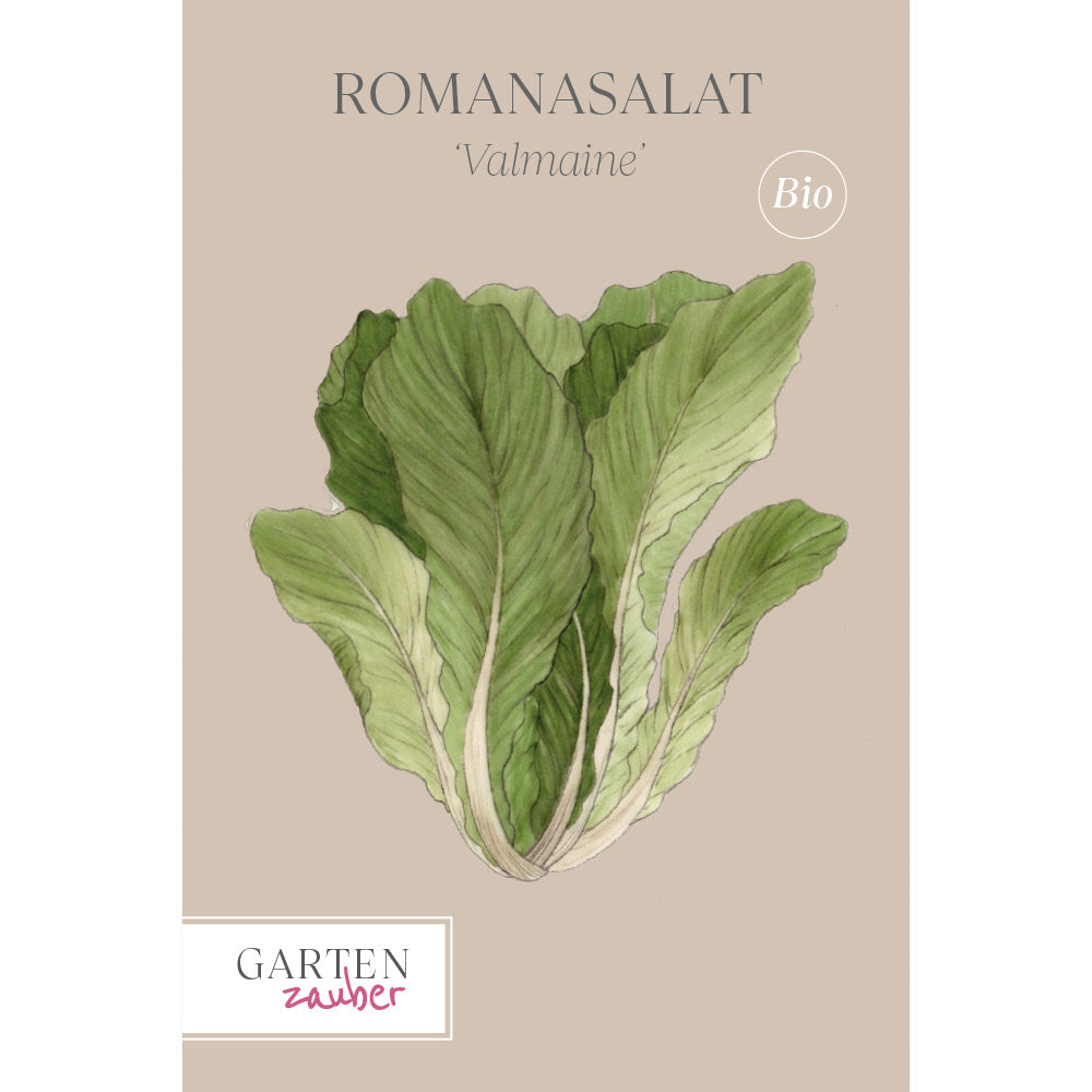 Saatguttüte Roamanasalat 'Valmaine' aus der Gartenzauber-Saatgutserie