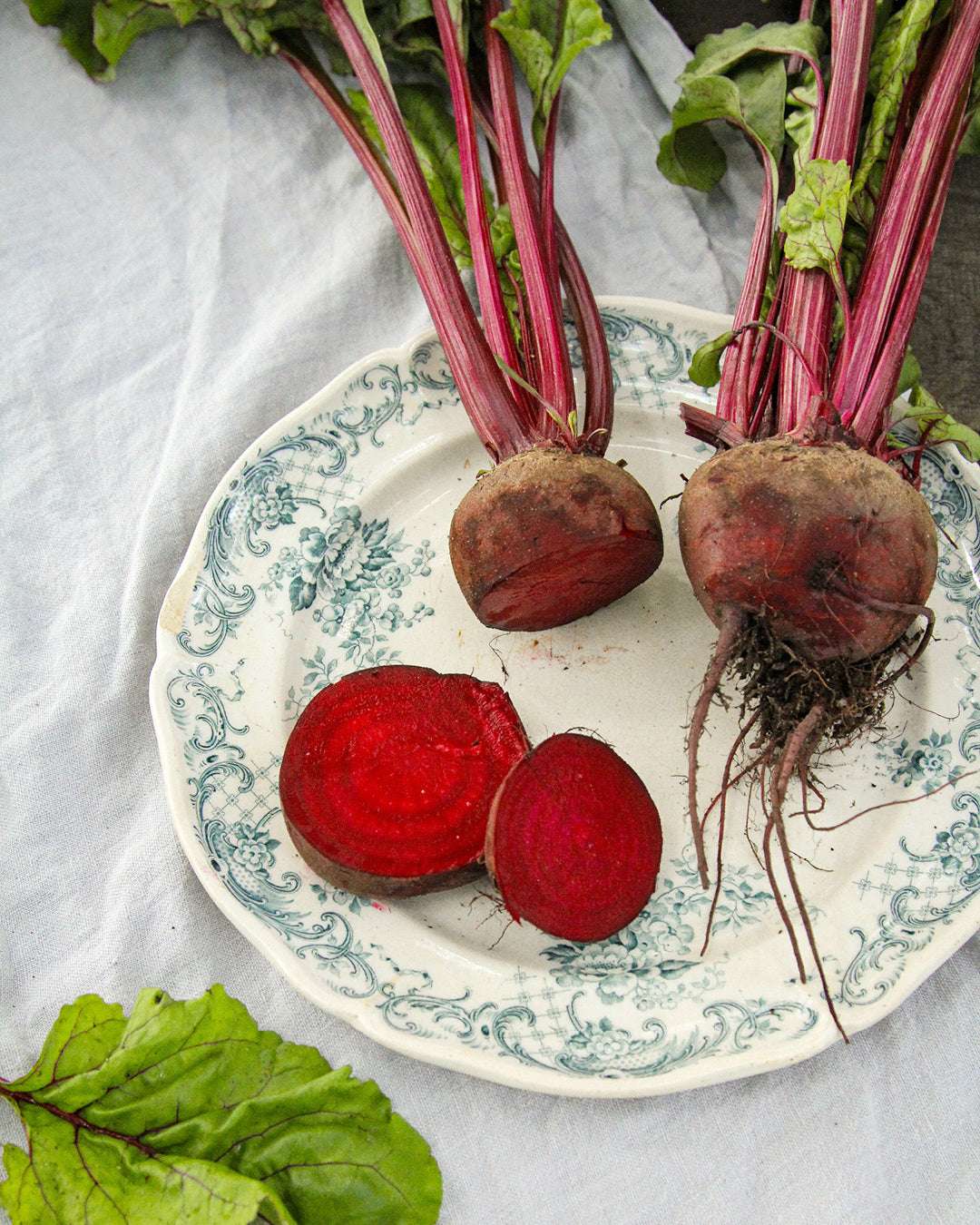 Rote Bete 'Robuschka' Saatgut online kaufen
