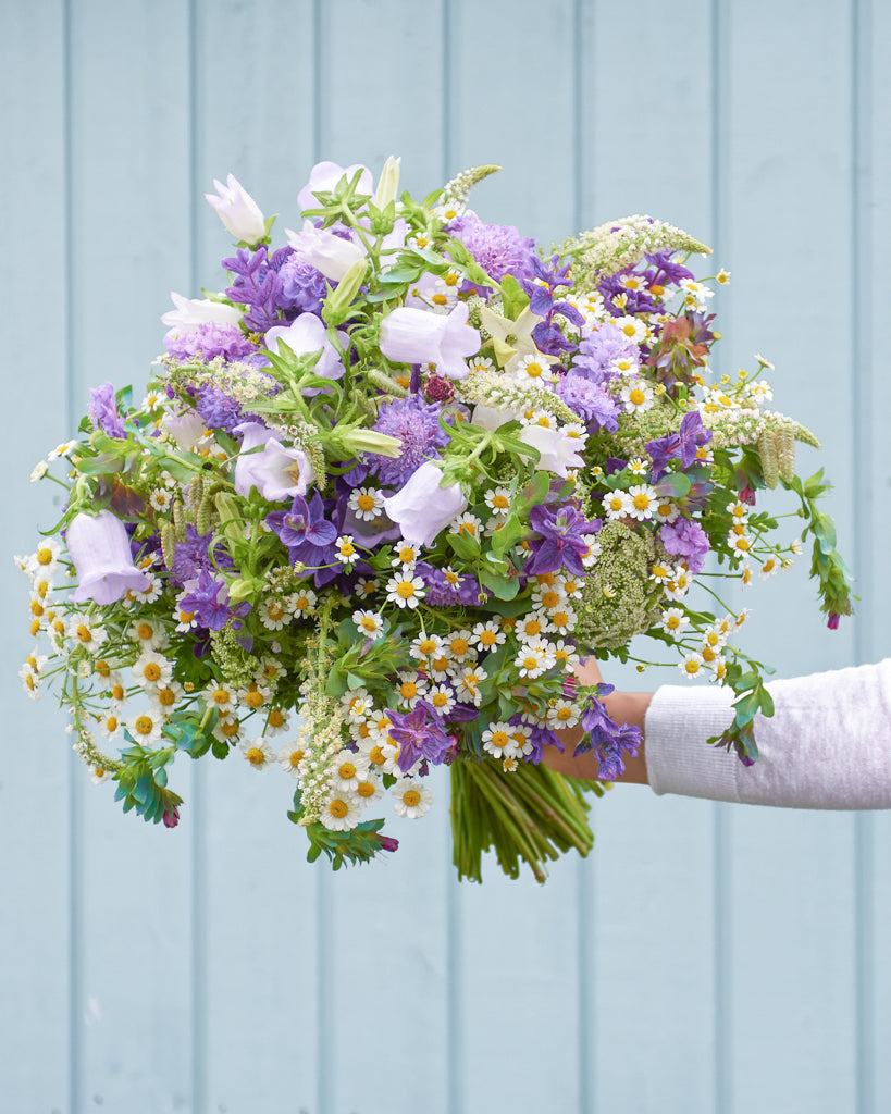 Saatgutpaket - Blue Sky - Saatgut von Gartenzauber