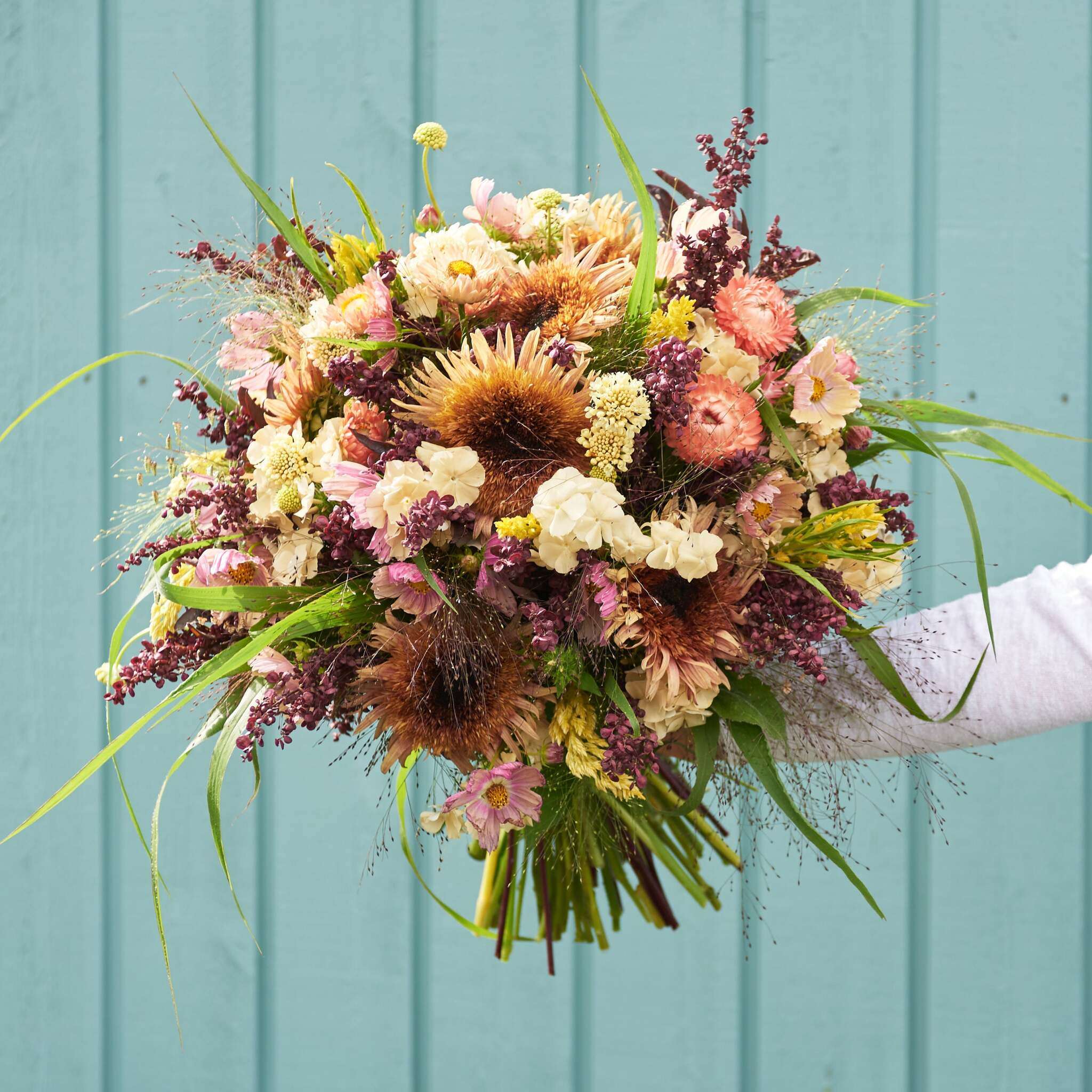 Saatgutpaket - Buttermilk Blossom - Saatgut von Gartenzauber