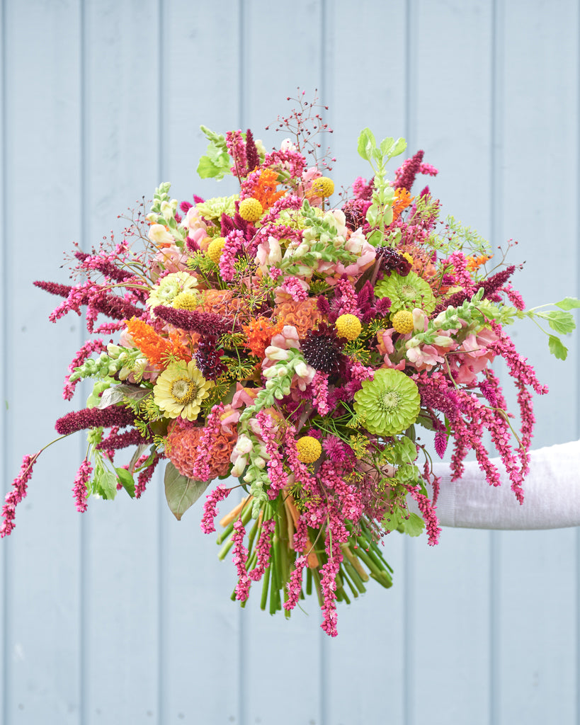 Saatgutpaket - Oriental Breeze - Saatgut von Gartenzauber