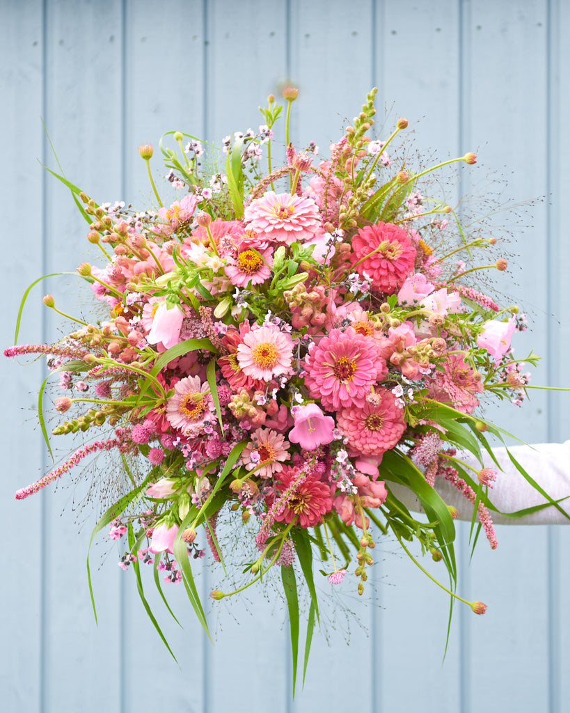 Saatgutpaket - Soft Pink Dreams - Saatgut von Gartenzauber