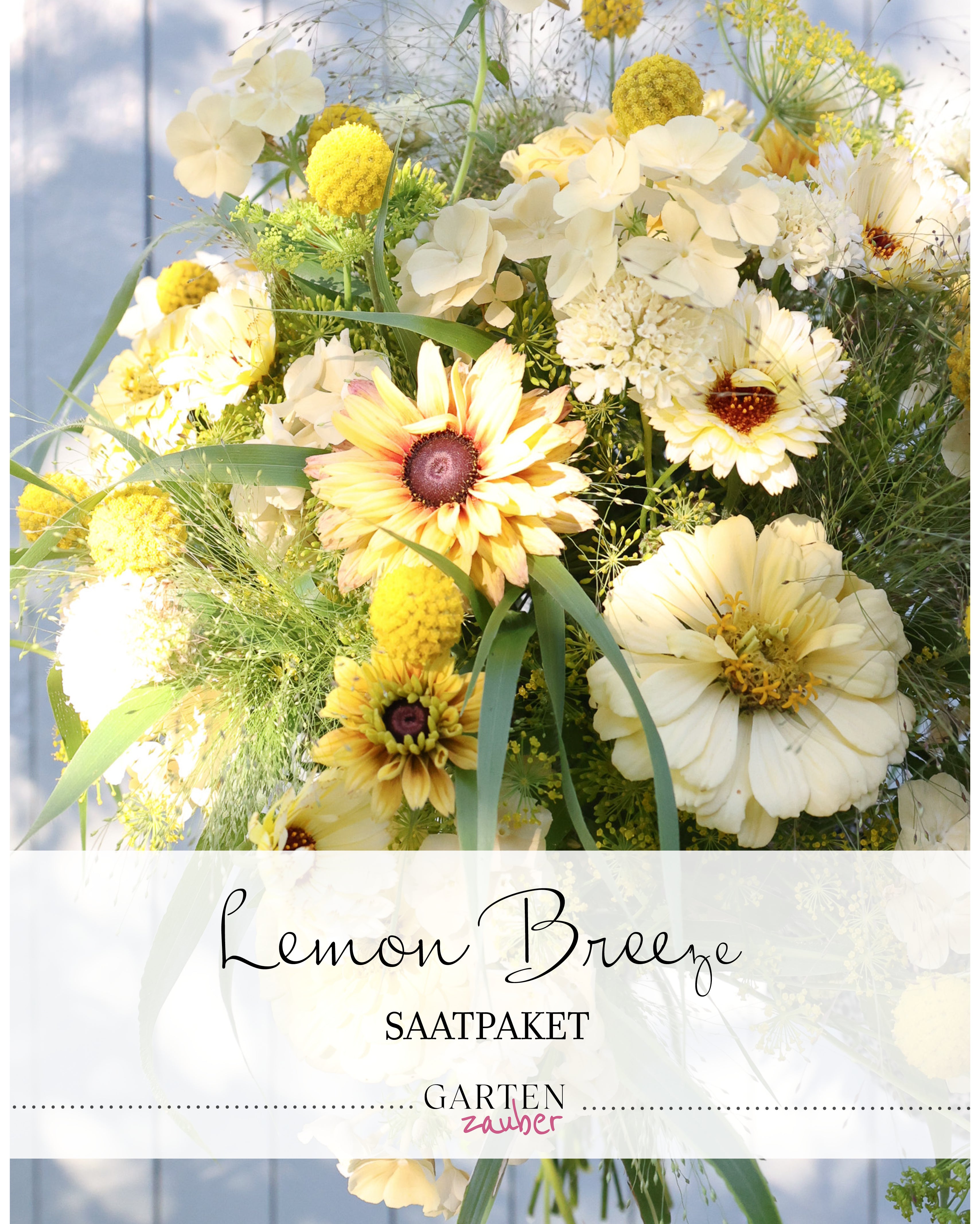 Titelbild des Gartenzauber-Saatgutpakets Lemon Breeze mit Abbildung eines daraus gestaltbaren Sommerstraußes in Creme-, Vanille- und Zitronentönen.