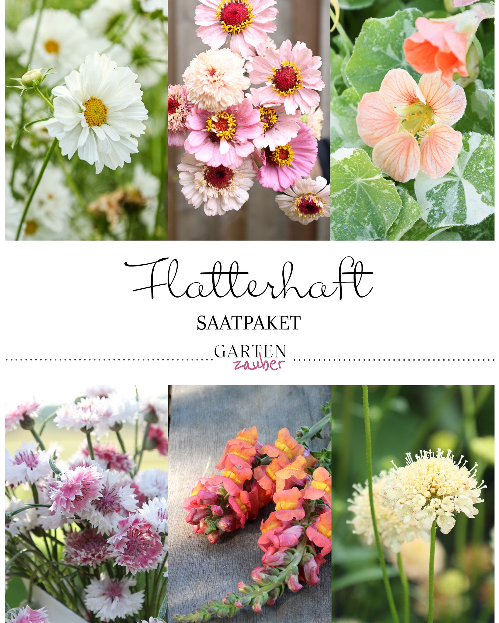 Titelbild Saatgutpaket Flatterhaft mit Abbildungen insektenfreundlicher Sommerblumen.