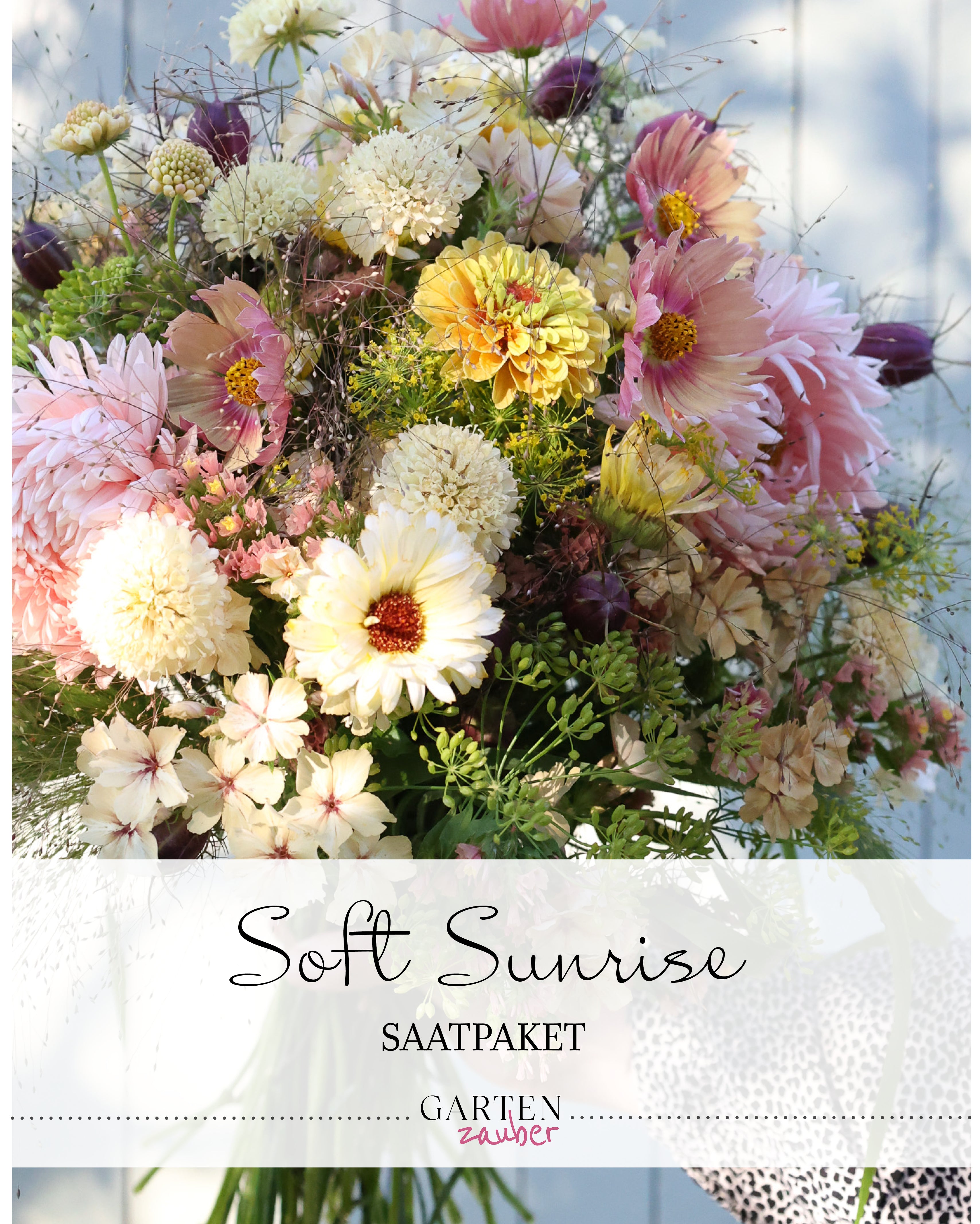 Titelbild des Gartenzauber-Saatgutpakets Soft Sunrise mit Abbildung eines daraus gestaltbaren Straußes in warmen Apricot-, Orange- und Cremetönen.