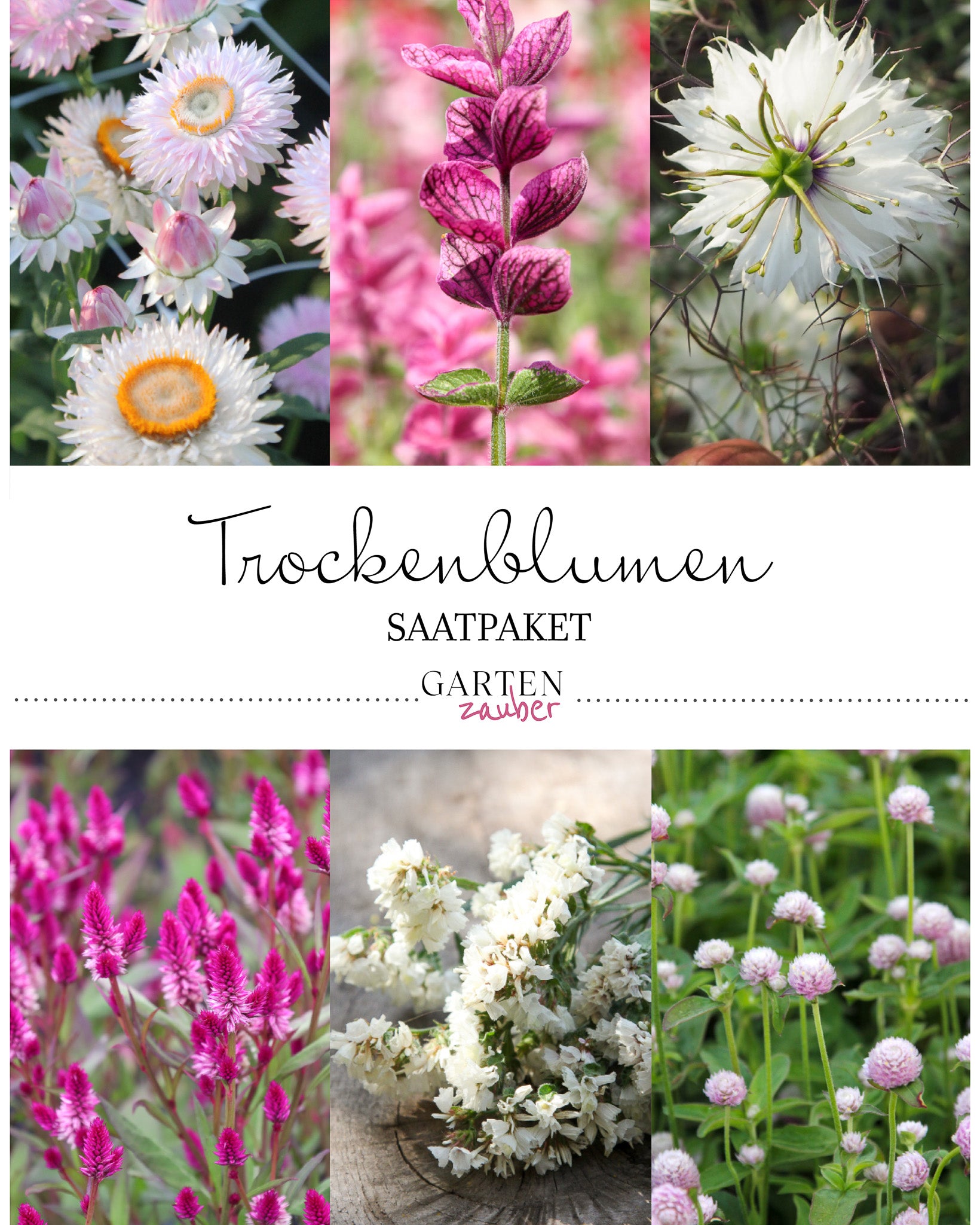 Titelild Saatgutpaket Trockenblumen mit Abbildungen von Trockenblumen-Sorten.