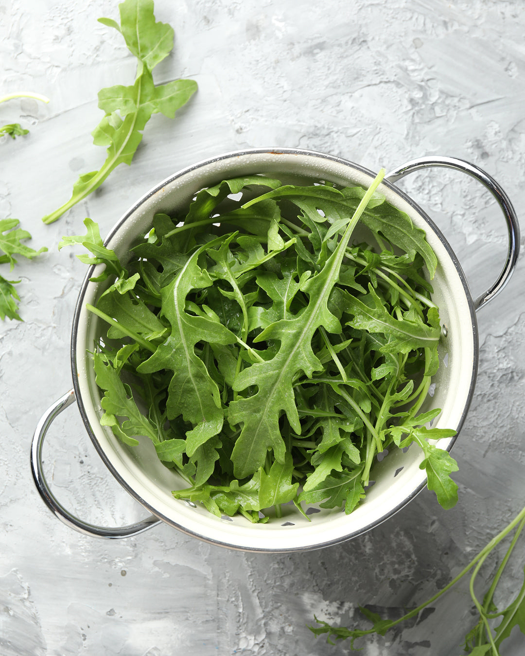 Salat Wilde Rauke aus der Gartenzauber-Saatgutserie