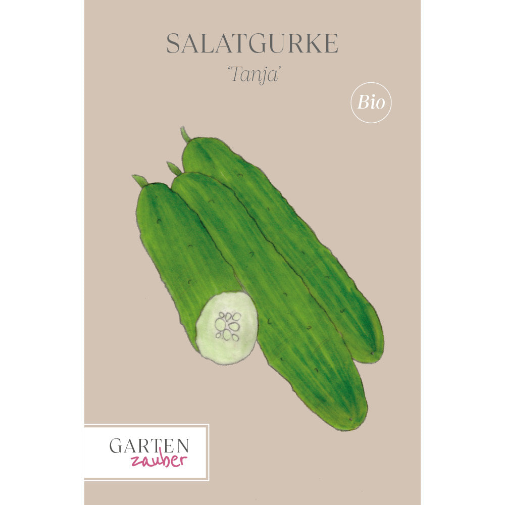 Salatgurke 'Tanja' Saatgut online kaufen