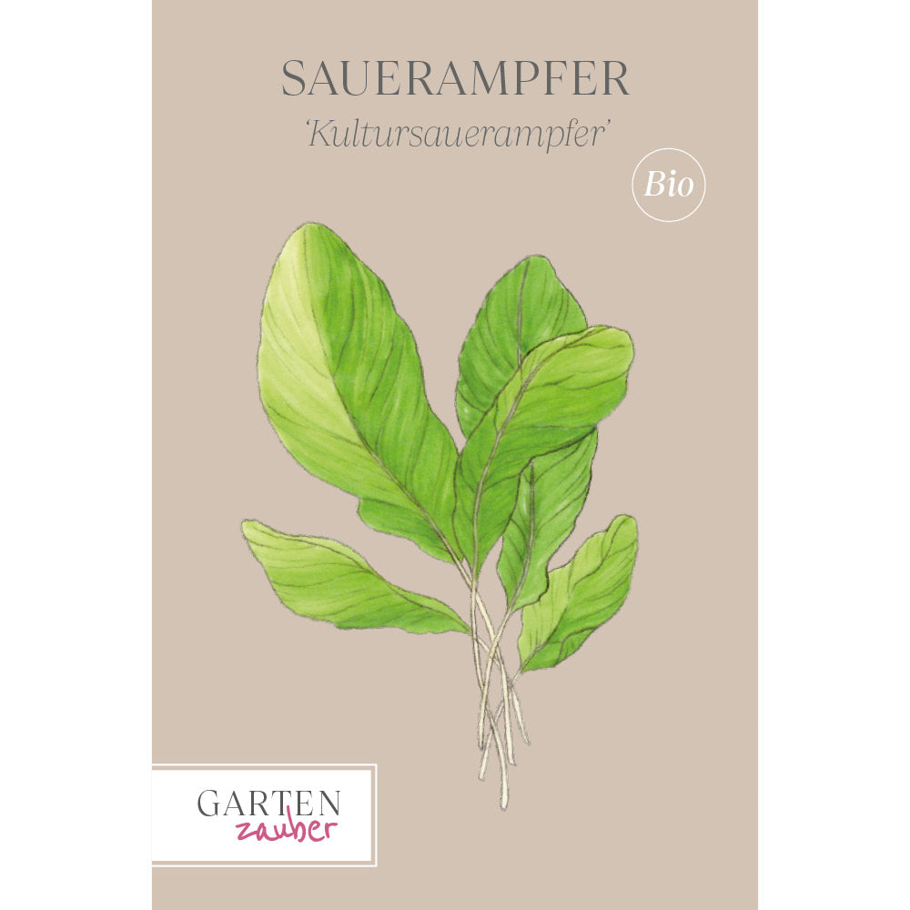 Kultursauerampfer Saatgut – Küchenkräuter