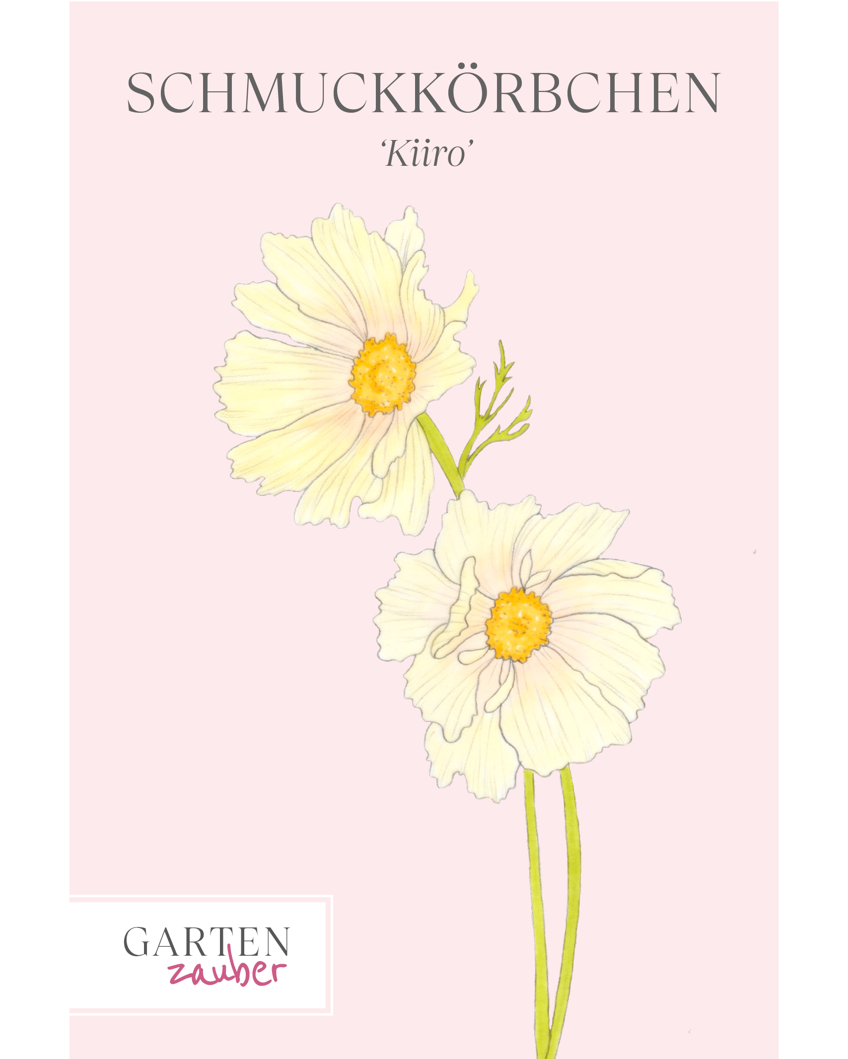 Vorderansicht Saatguttüten Schmuckkörbchen Kiiro