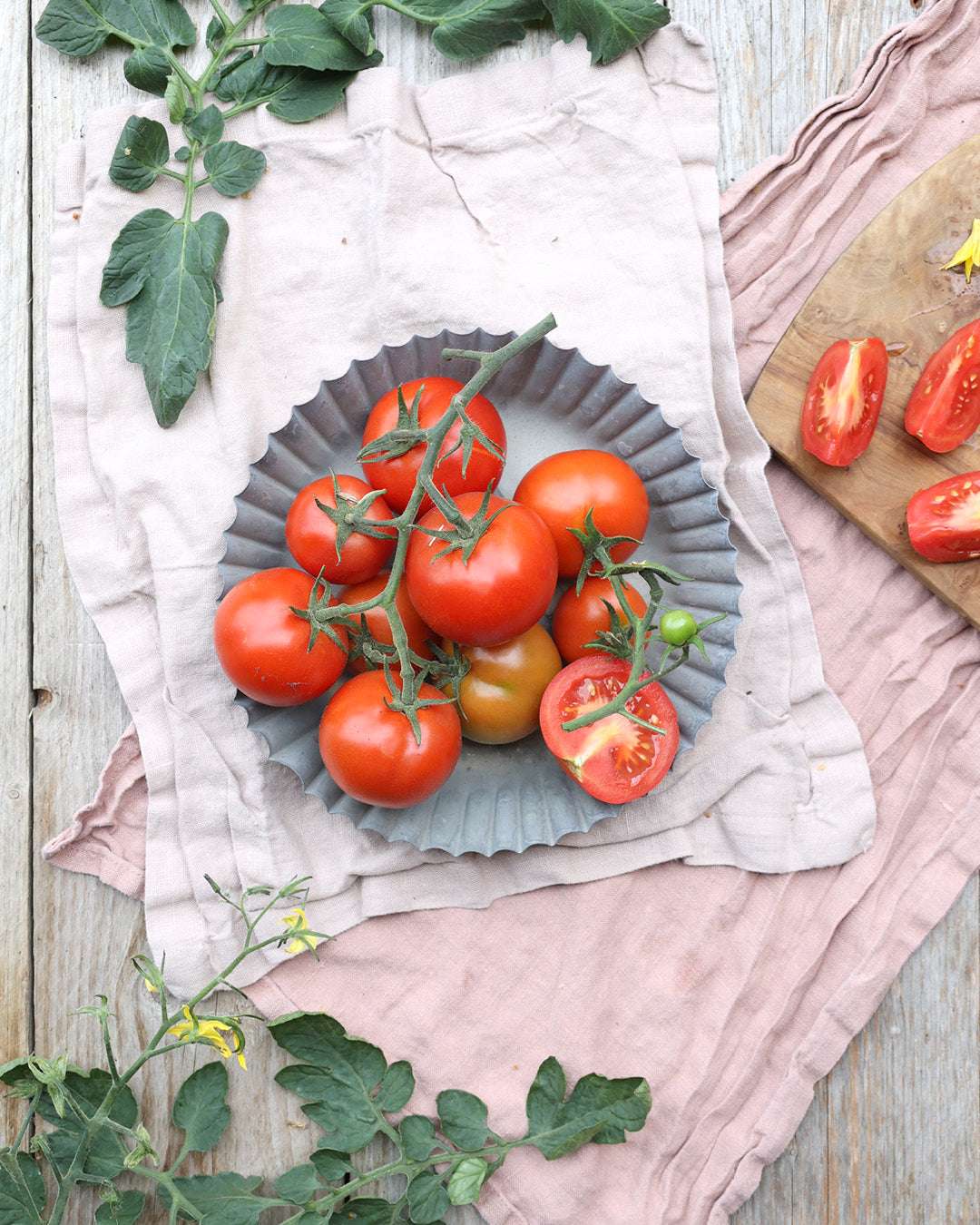 Tomate 'Tica' Saatgut online kaufen