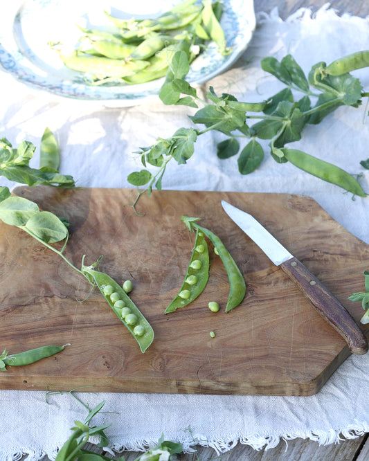 Sugar pea 'Ambrosia' - Pisum sativum