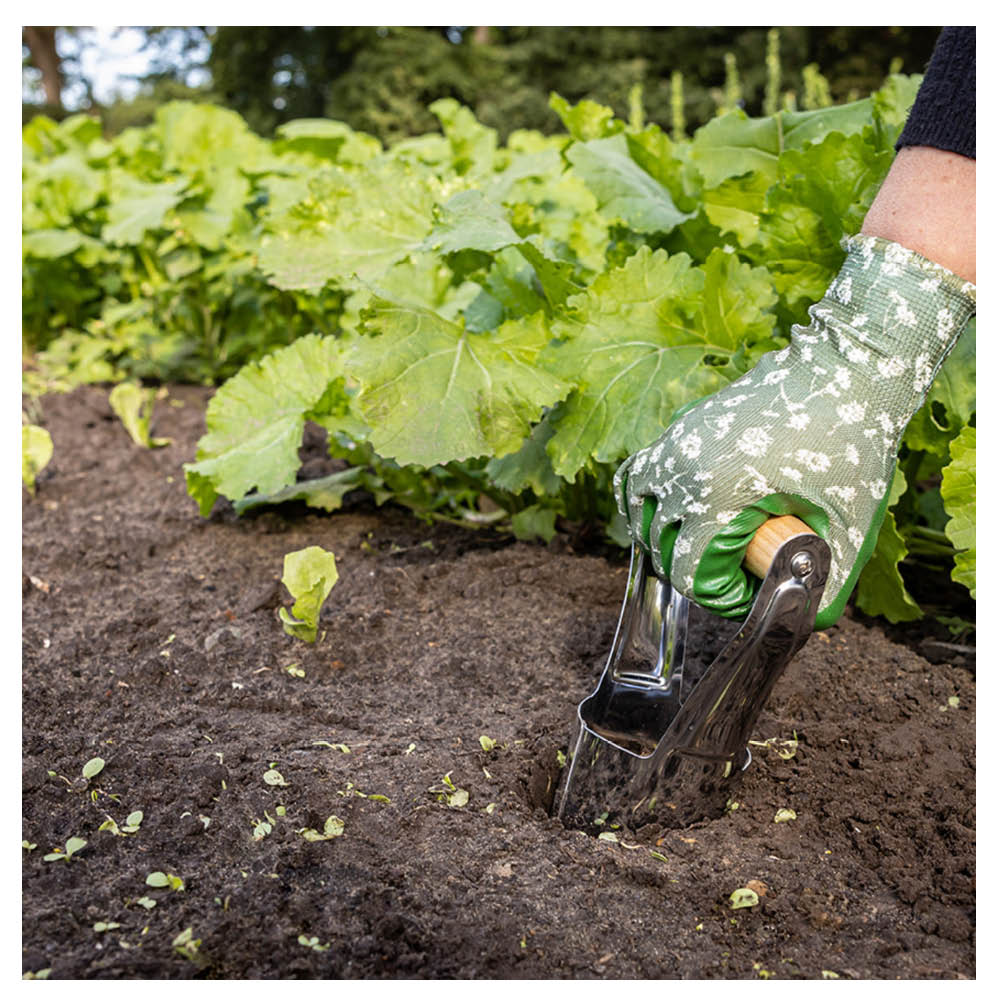 Zwiebelpflanzer beim Setzen von Blumenzwiebeln im Beet – Edelstahlwerkzeug mit Holzgriff