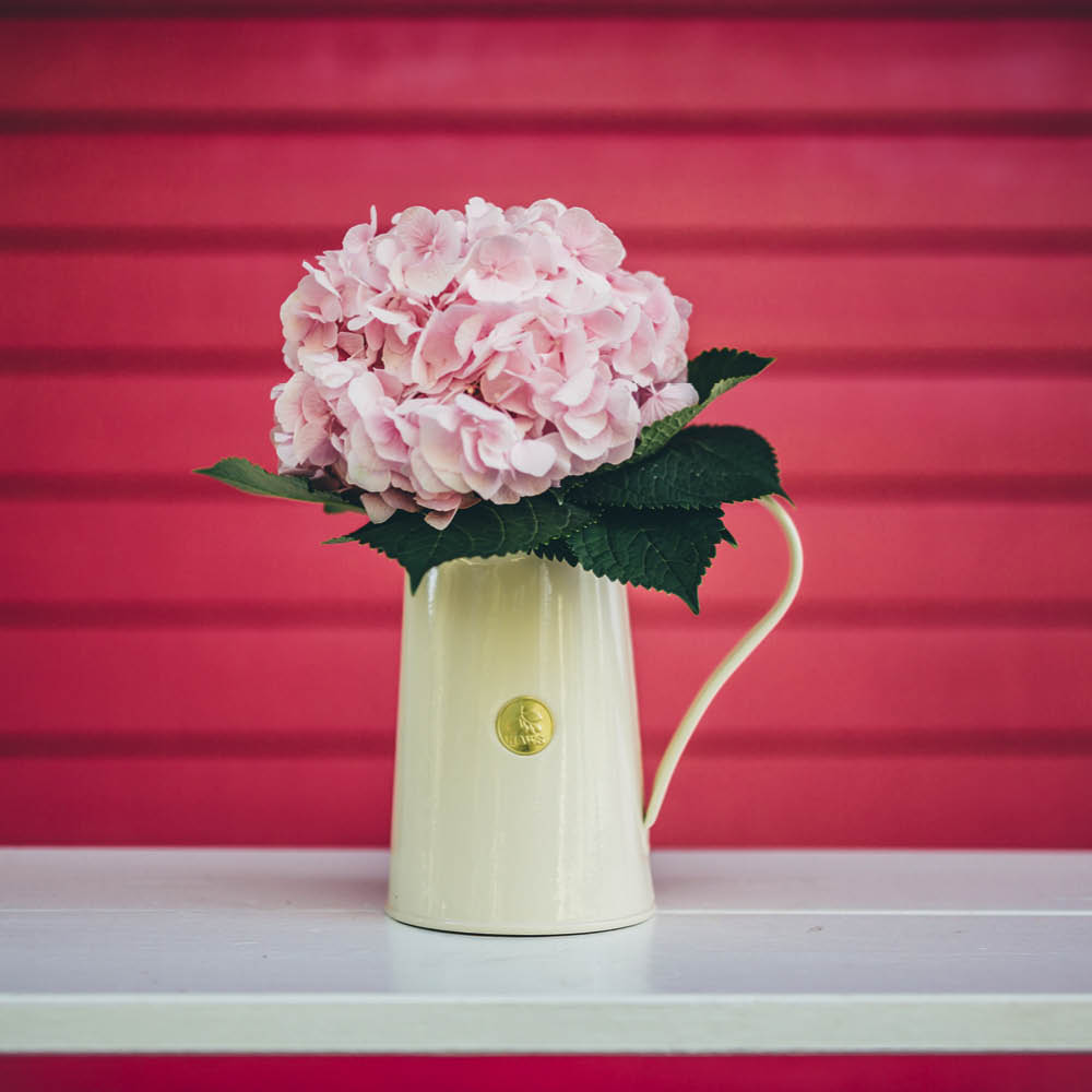 krug-all-rounder-creme