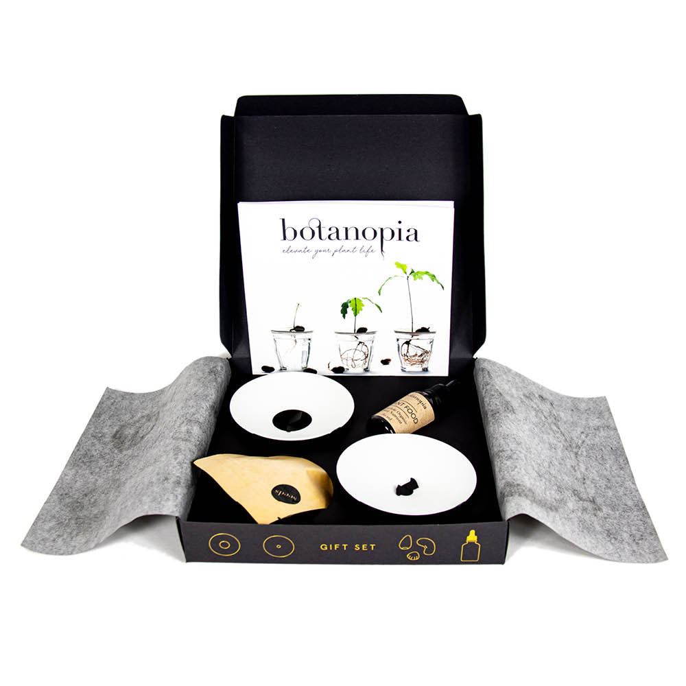 Deluxe Keimung & Vermehrung Geschenk-Set von Botanopia – Komplett-Set mit Keimschalen, Korkschale und Zubehör