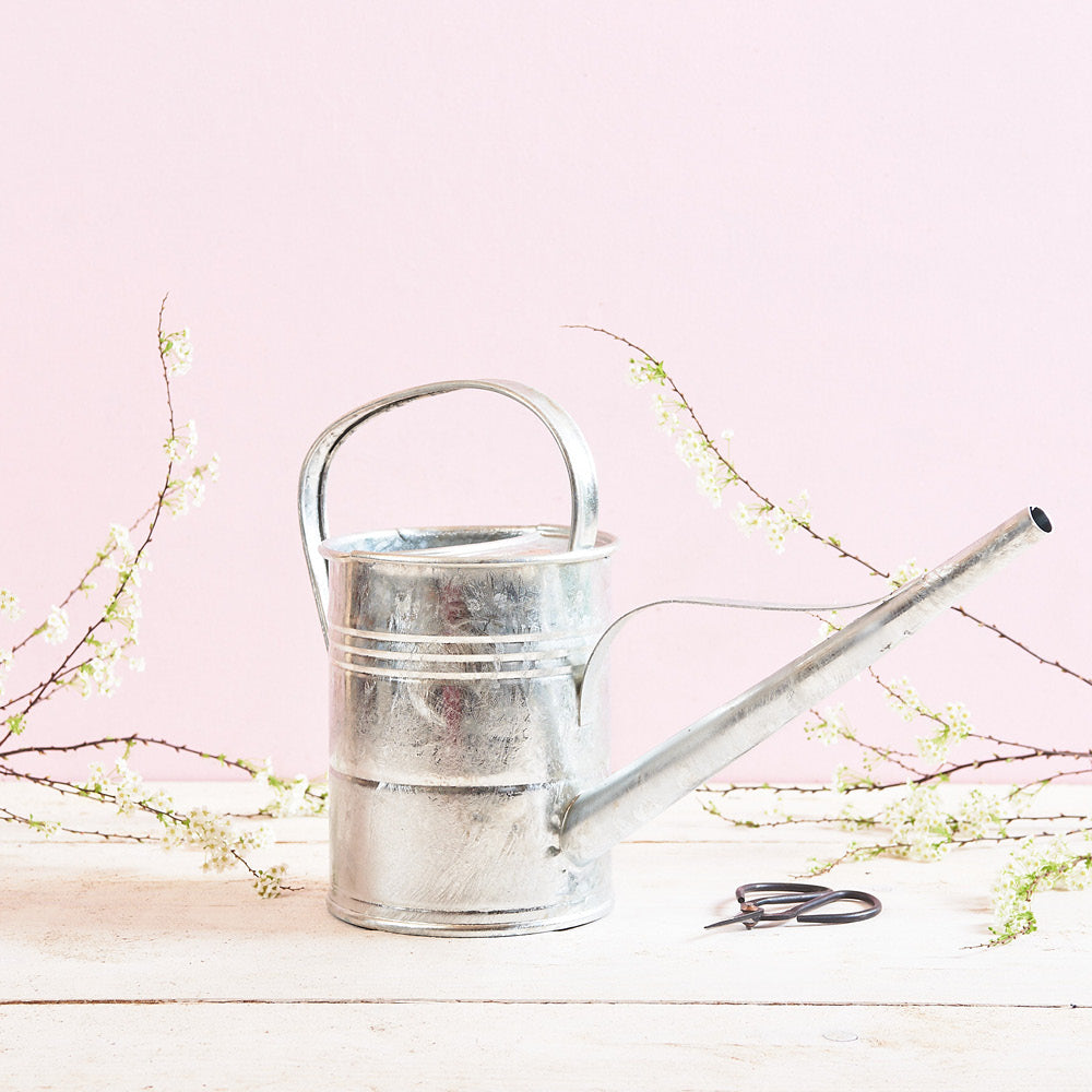Plint Gießkanne 1,5 Liter in Zink – dekorativ arrangiert