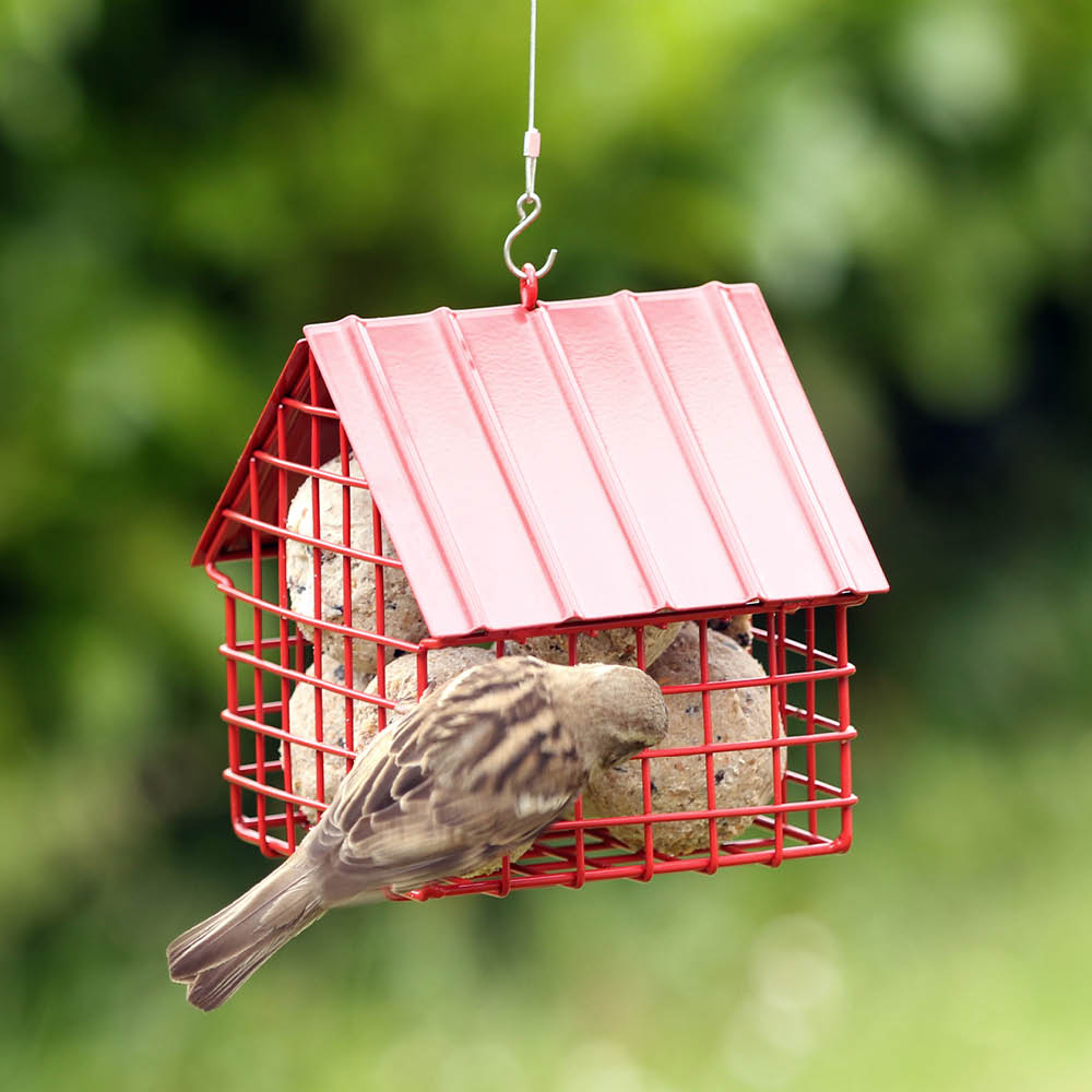 Schwarzer Meisenknödel-Futterspender Häuschen von Wildlife Garden mit gefüllten Knödeln
