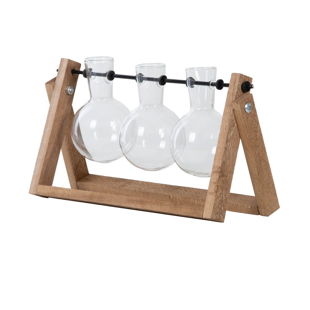 Großes Stecklings-Set mit drei Glasvasen – dekorative Pflanzenvermehrung