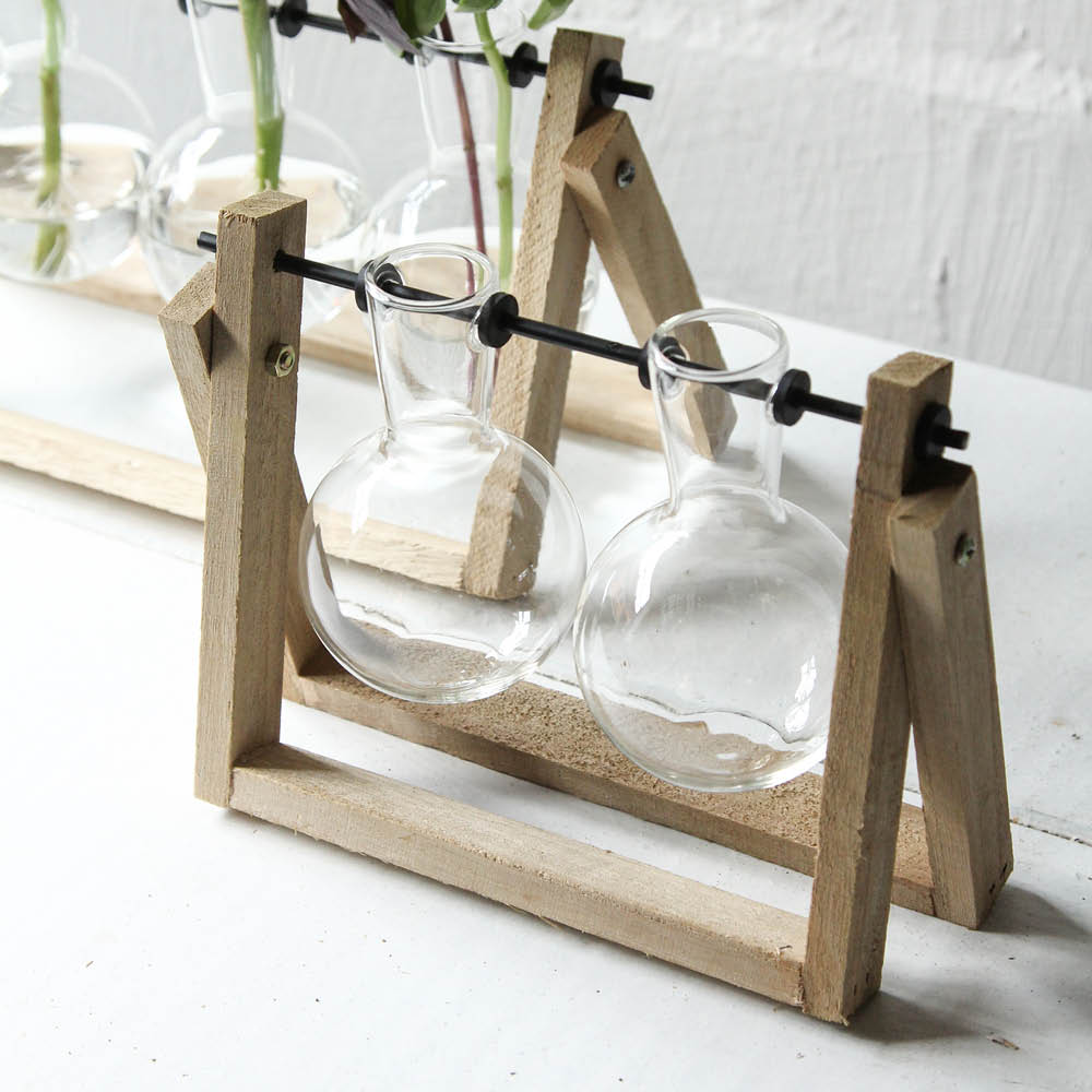 kleines Stecklings-Set mit zwei Glasvasen – dekorative Pflanzenvermehrung