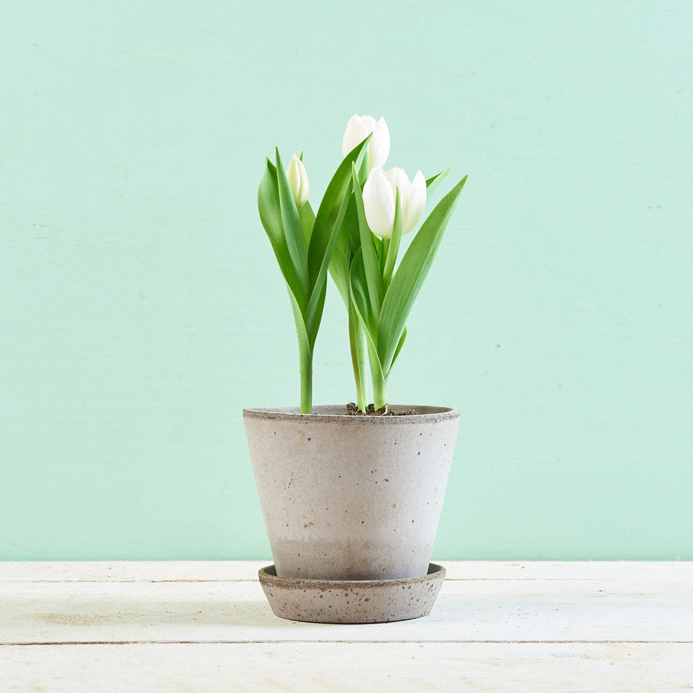 Handgefertigter Tontopf aus italienischer Tonerde – Modell „Julie“ Ø 14 cm