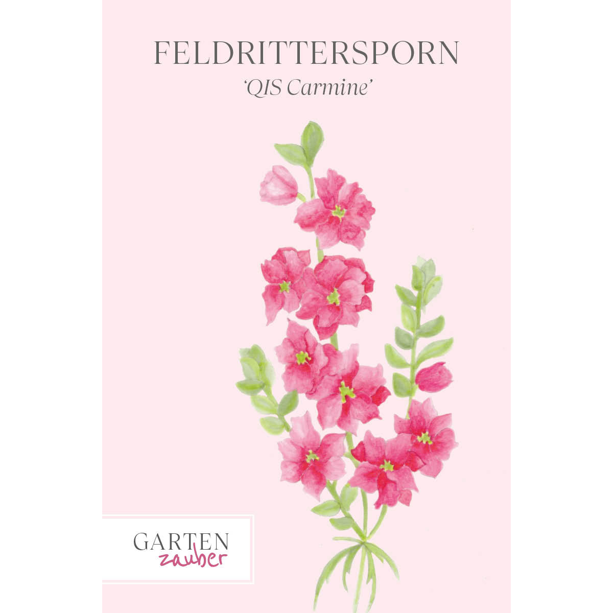 Vorderansicht Saatguttuete FELDRITTERSPORN - Delphinium consolida `QIS Carmine` aus der Gartenzauber-Saatgutserie