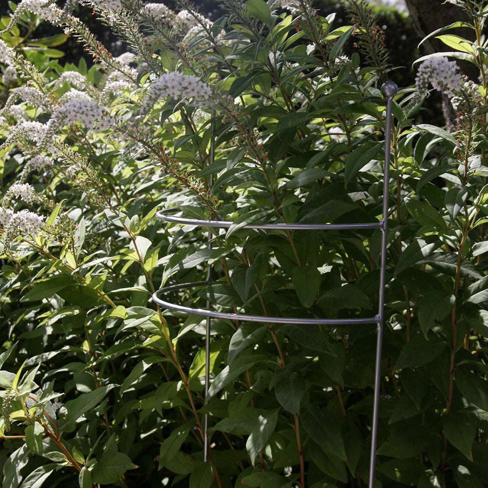 Staudenstütze Knoppen aus rostigem Eisen von Eldgarden – stabiler Pflanzenhalter im Garten
