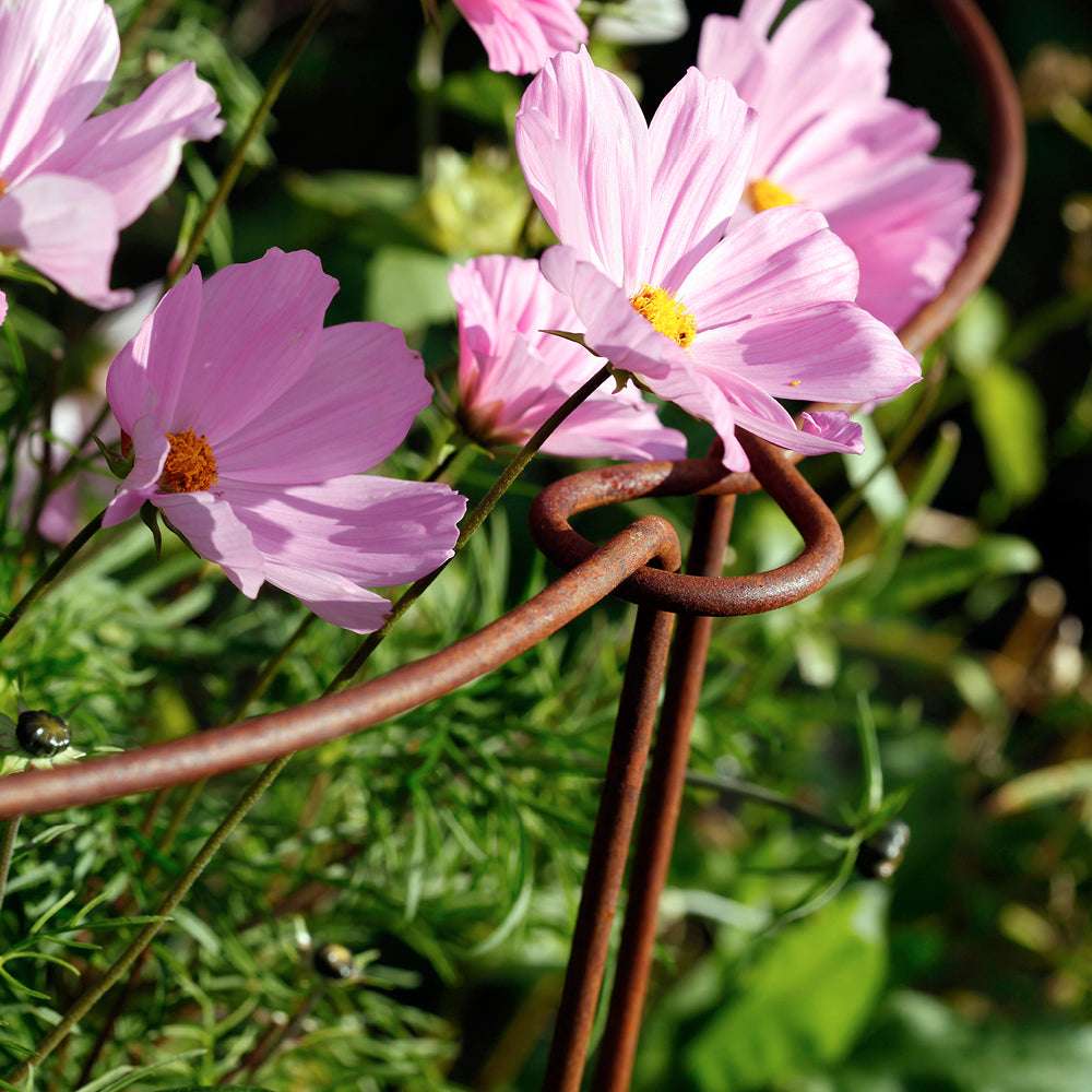 Staudenstütze aus rostigem Metall von Eldgarden – stabile Pflanzenstütze im Garten