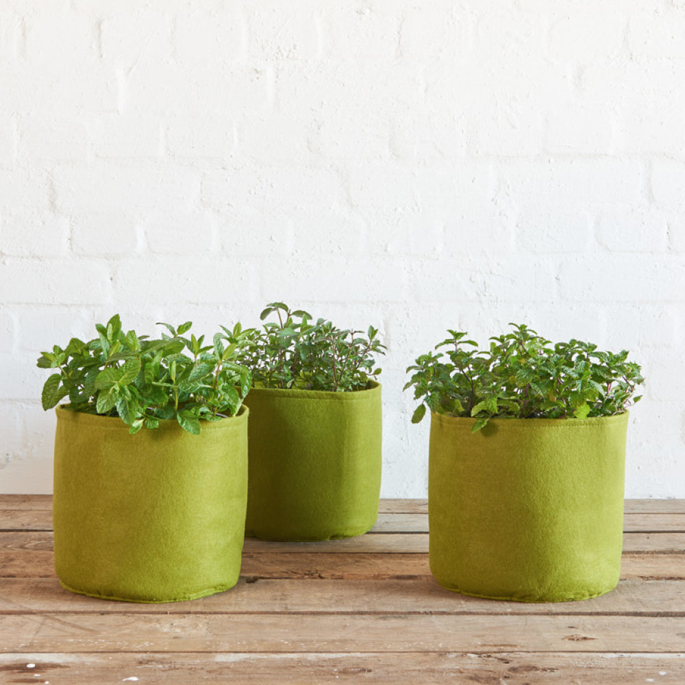 Vigoroot Pflanztaschen 3er Set von Haxnicks mit Kräutern bepflanzt