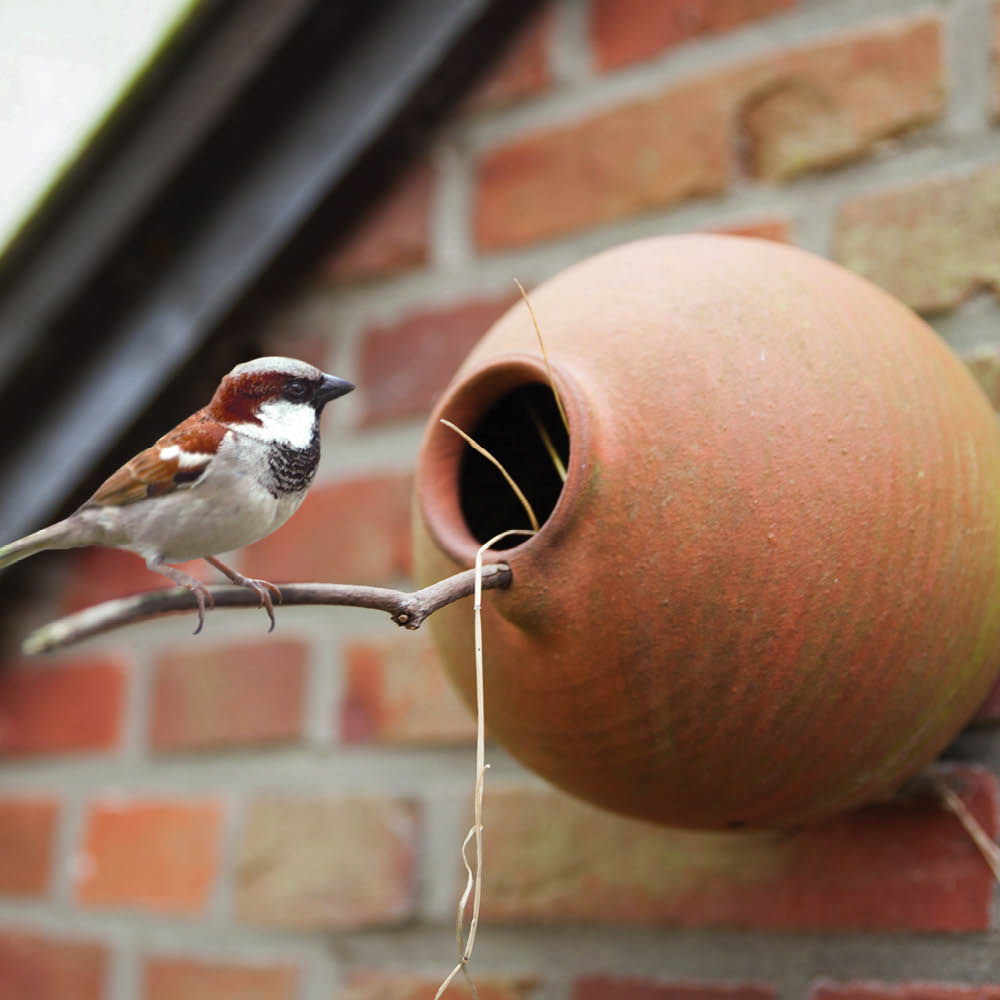 Handgetöpferter Vogeltopf aus Ton als Nisthilfe für Meisen mit einer Meise auf einem Ast vor dem Einflugsloch