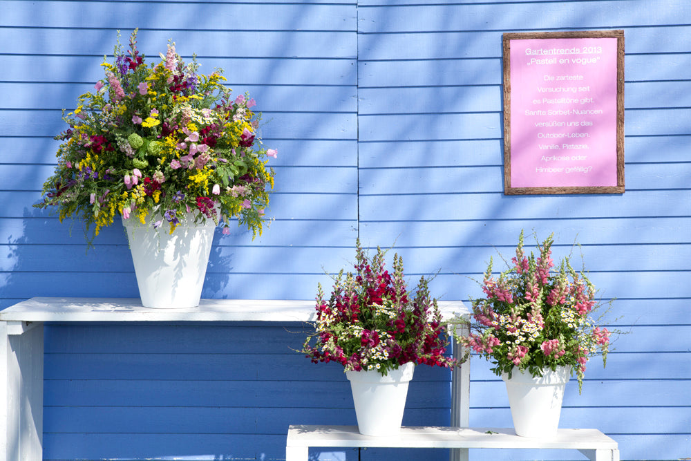 Gartensprüche und Zitate – Lieblingsworte für alle, die Gärten lieben