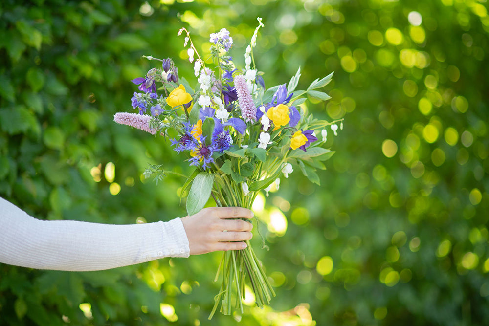 Eine Hand hält einen Sommerblumenstrauß mit einer Vielfalt an lebhaften Farben und Arten.