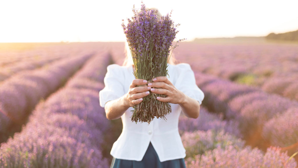 Lavendel kreativ