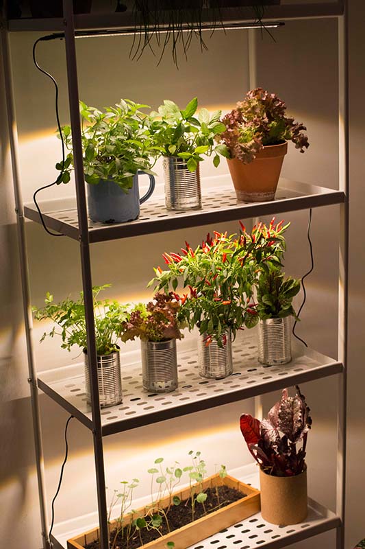 Beleuchtetes Pflanzenregal