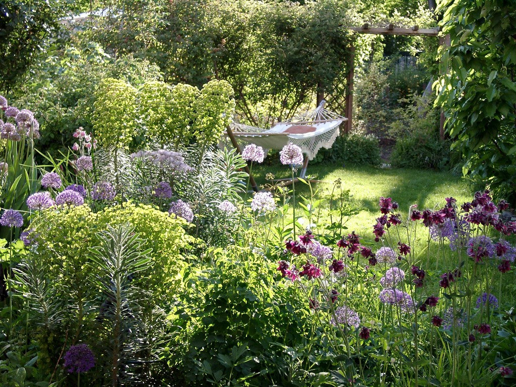 Kleines Plätzchen im Grünen mit einer Hängematte, im Vordergrund stehen Pflanzen, wie Wolfsmilch Zierlauch oder Akelei.