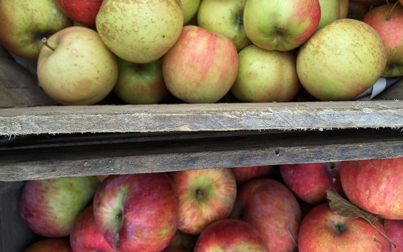 Äpfel richtig lagern – So bleibt die Apfelernte lange frisch