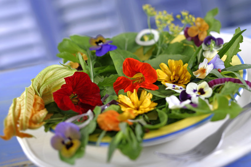 Essbare Blüten, Salat und rote Zwiebeln  sind in einer Porzellanschaldekorativ angerichtet.