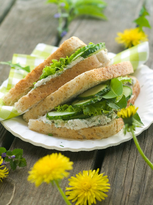 Wild & Fresh – Club Sandwich mit Löwenzahn-Quark