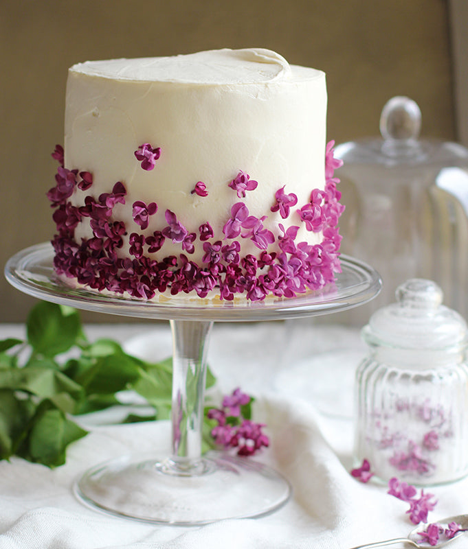 Zitronen-Joghurt-Torte mit Fliederblütensirup – frischer Frühlingskuchen mit Lemon Curd