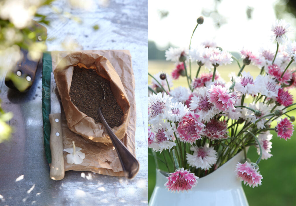 Eine zweiteilige Collage, links steckt ein alter Esslöffel in einer Papiertüte mit Saatgut, rechts ein Strauß Weisser und Pinkfarbener Kornblumen in einem Emaillekrug im Spätsommerlicht.