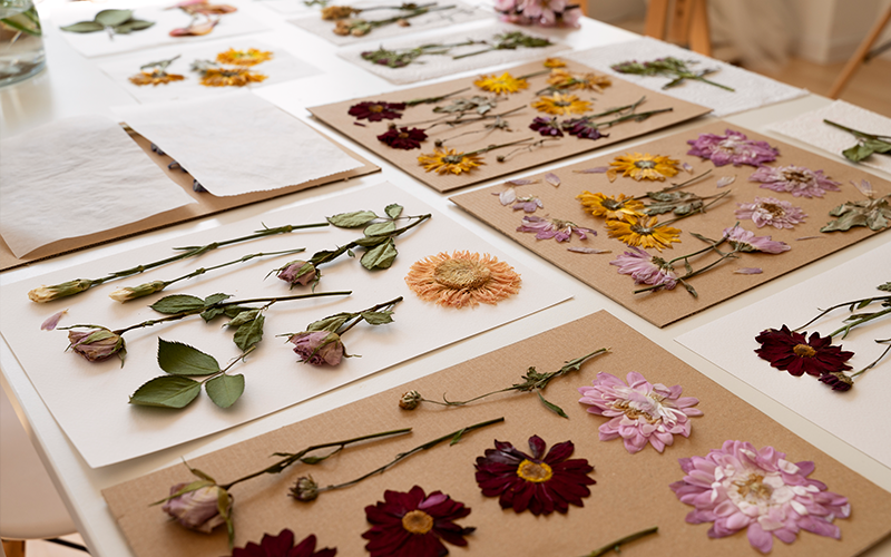 Blüten pressen: Anleitung und Tipps für DIY Blumenprojekte