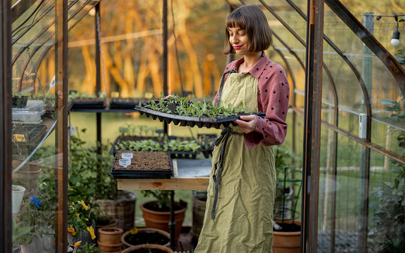 Gartentipps für den Nutzgarten im September