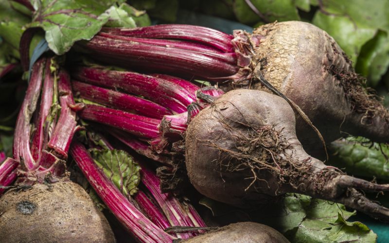 Gartentipps für den Nutzgarten im Oktober